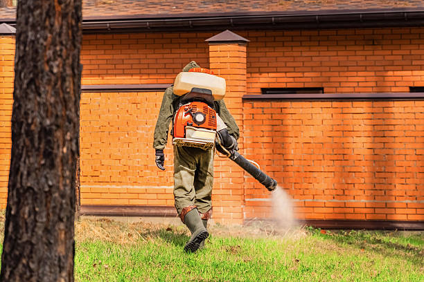 Trusted Cockroach Control service in Horn Lake, MS - Nex Pest Control